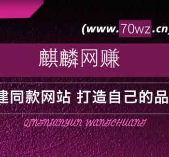 加盟麒麟网赚，搭建同款项目资源站，实现日入2000+